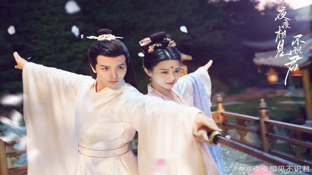 My Decoy Bride รีวิวหนัง